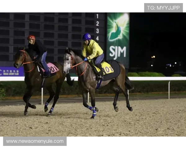 澳门赛马今天直播赛事直播流程详解与赛马精彩片段 澳门赛马今天直播赛事直播流程详解与赛马精彩片段