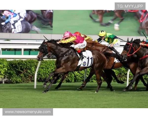 hkjc官方网站：如何通过官方网站参与香港赛马会的各项赛事与投注活动