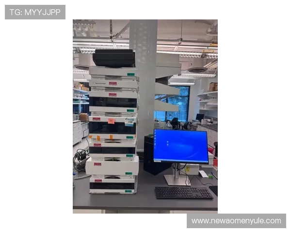 澳门金龙手机版高效稳定的技术保障,确保每一场游戏顺畅无阻 澳门金龙手机版高效稳定的技术保障,确保每一场游戏顺畅无阻