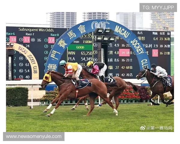 澳门金龙赌场会员制度详解享受专属权益与个性化服务体验